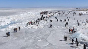 冰雪游樂受青睞 青海湖旅游熱度不減