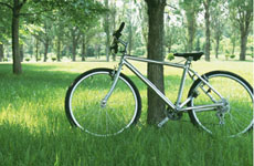 低碳生活出行篇