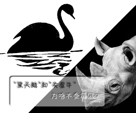 "黑天鵝"和"灰犀牛"為啥不受待見(jiàn)？