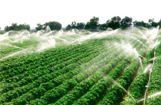 【4月3日】部署現(xiàn)代農(nóng)業(yè)配套改革試驗工作