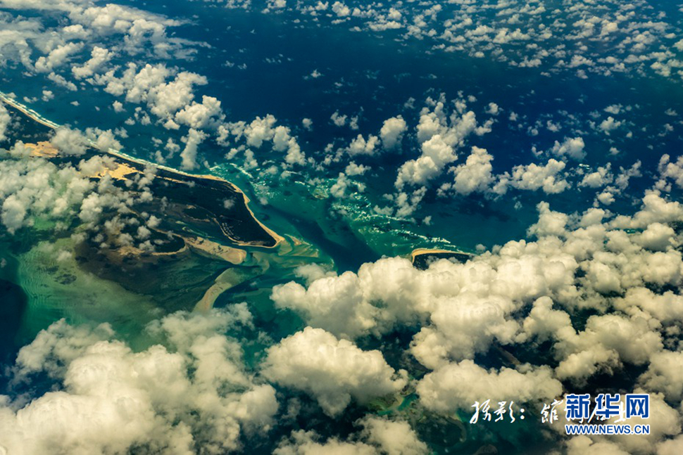 飛躍太平洋，跨越秋與春