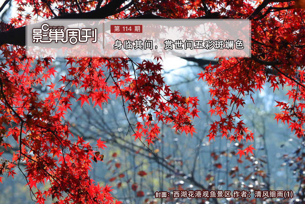 西湖花港觀魚景區(qū)