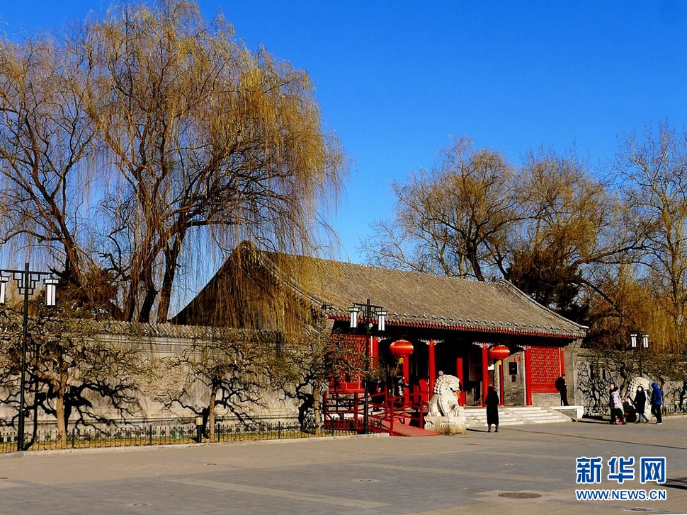 冬至，漫步大觀園