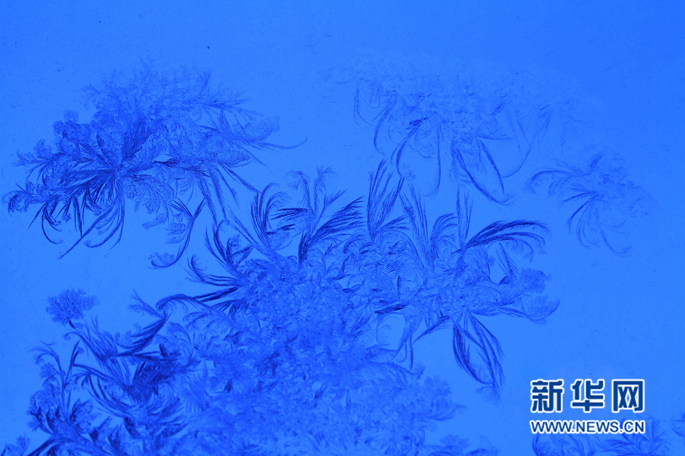 忽如一夜寒冬來，千家萬戶窗花開