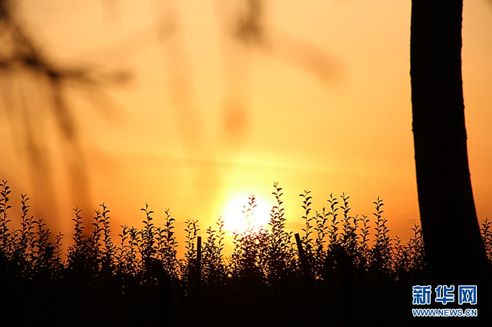 日落西山頭，人約黃昏后
