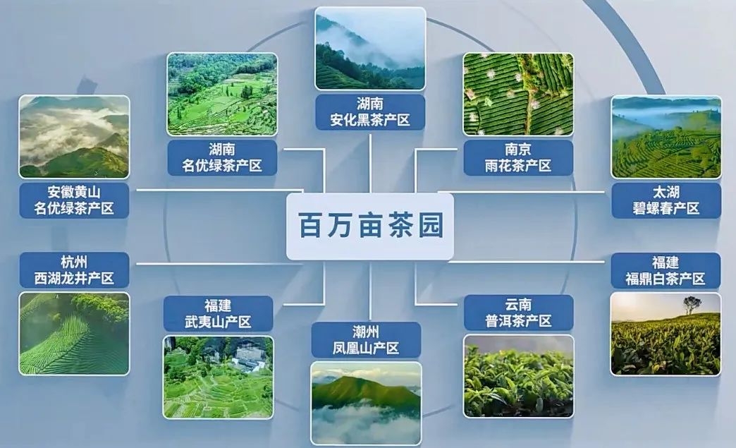 7月銀川這場(chǎng)盛會(huì)，或?qū)⒔沂鞠M(fèi)信心深層密碼