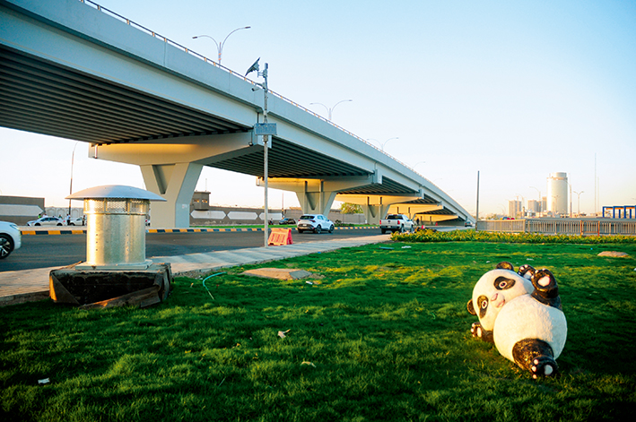 巴格達的椰棗樹