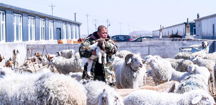 易地搬遷讓村民“住得好、能致富”