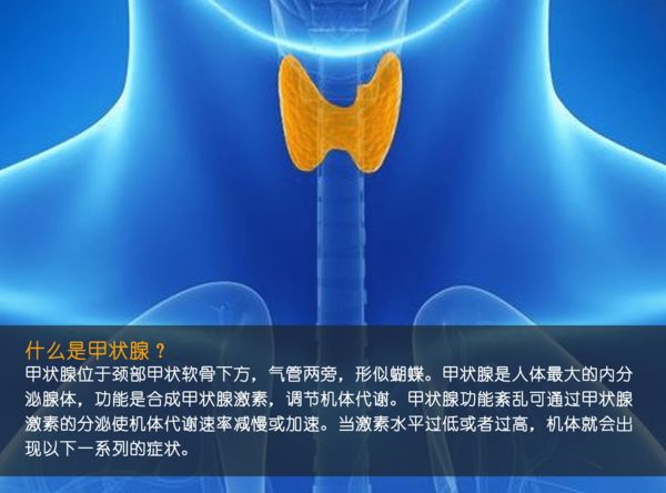 關(guān)注甲狀腺健康，你應(yīng)該知道的那些事
