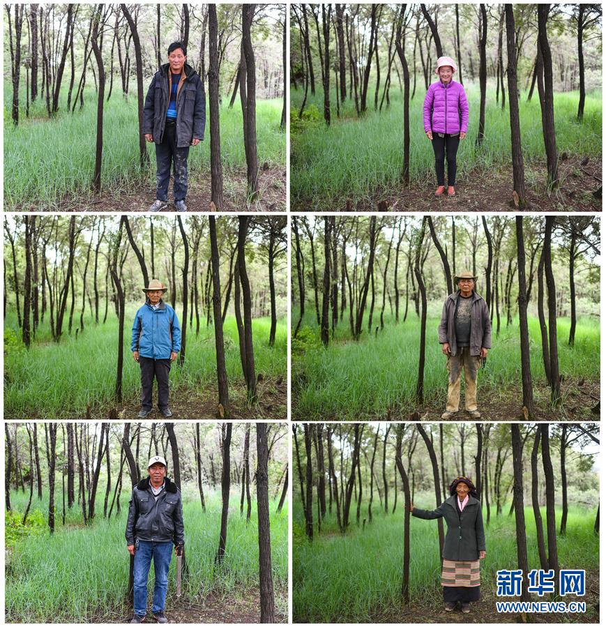 （十九大·讀報(bào)告 話民生）（9）加快生態(tài)文明體制改革，建設(shè)美麗中國(guó)