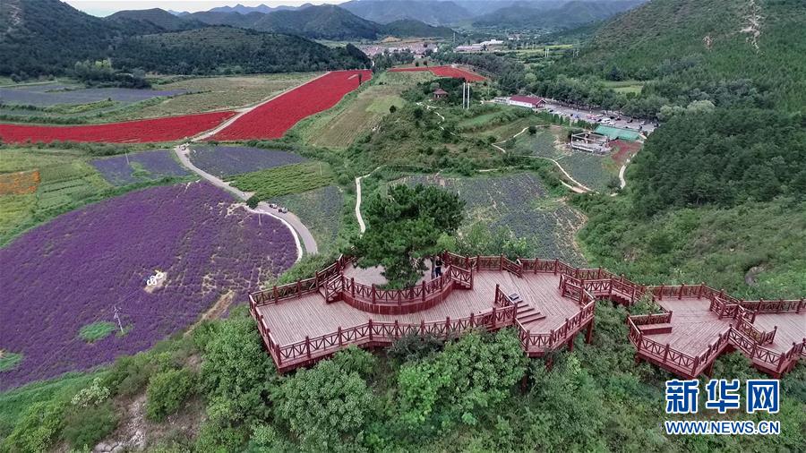 （十九大·讀報告 話民生）（10）加快生態(tài)文明體制改革，建設(shè)美麗中國