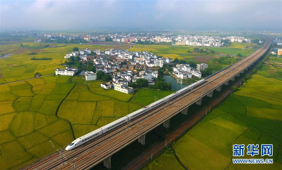 （十九大·讀報(bào)告 話民生）（14）加快生態(tài)文明體制改革，建設(shè)美麗中國