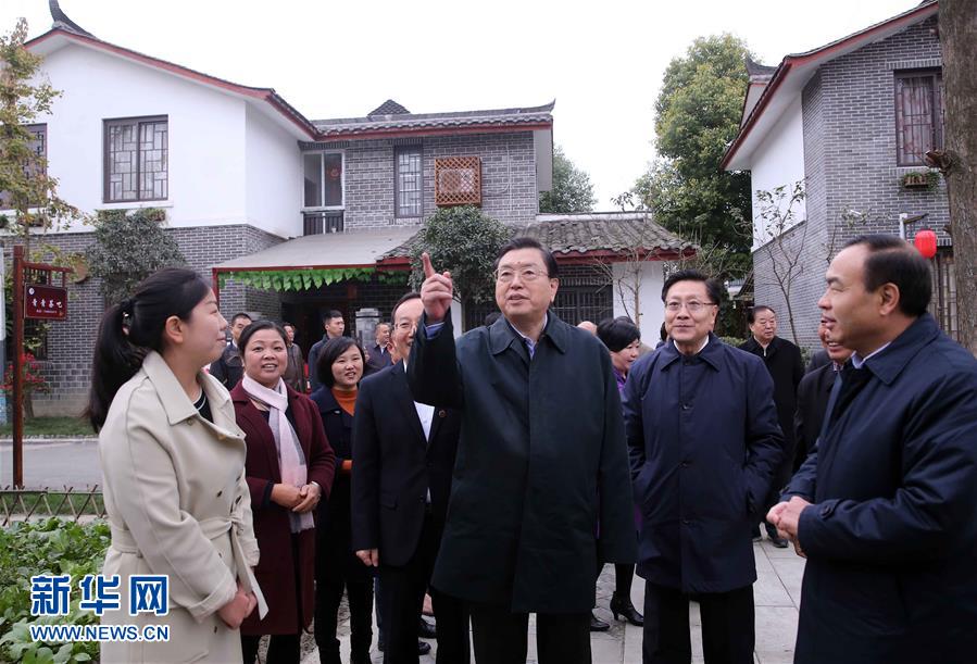 這是11月22日，張德江來到成都郫縣青杠樹村，了解村民委員會工作情況。 新華社記者 劉衛(wèi)兵 攝 