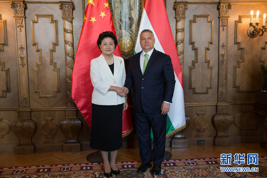  6月21日，國(guó)務(wù)院副總理劉延?xùn)|（左）在匈牙利布達(dá)佩斯國(guó)會(huì)大廈會(huì)見匈牙利總理歐爾班。 新華社發(fā)（弗爾季·奧蒂洛攝）