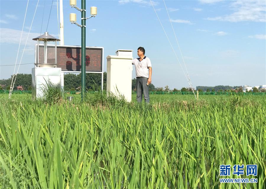 （新華全媒頭條·紀(jì)念改革開放40年特稿·圖文互動(dòng)）（6）向著新航程揚(yáng)帆奮進(jìn)！——從小崗精神看中國(guó)改革開放40年