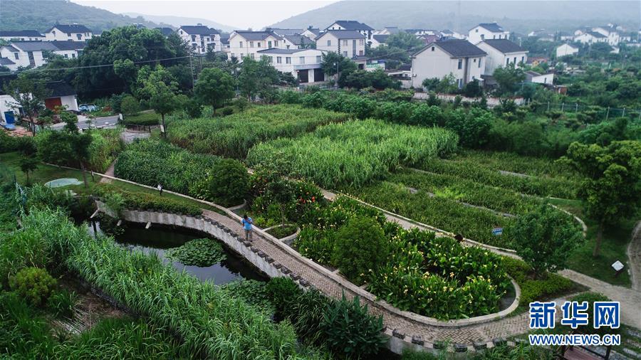 （在習(xí)近平新時代中國特色社會主義思想指引下——新時代新作為新篇章·圖文互動）（1）稀奇！治污濕地成了休閑公園——江蘇蘇州全域推進(jìn)農(nóng)村生活污水治理