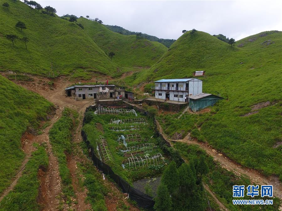 （新華全媒頭條·圖文互動）（3）一個人，一座山——劉真茂的生命守望