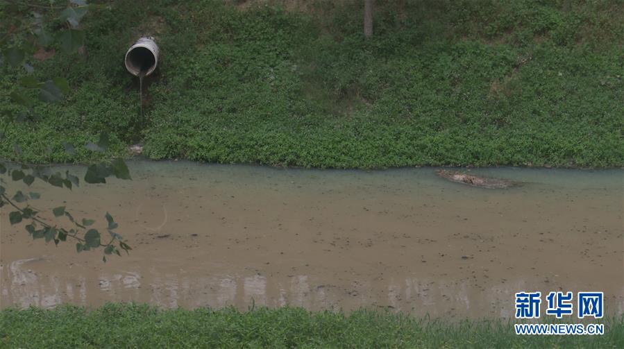 （新華視點(diǎn)·圖文互動(dòng)）（4）上游洪水來(lái)襲下游魚蟹死亡，泄洪為何變泄污？