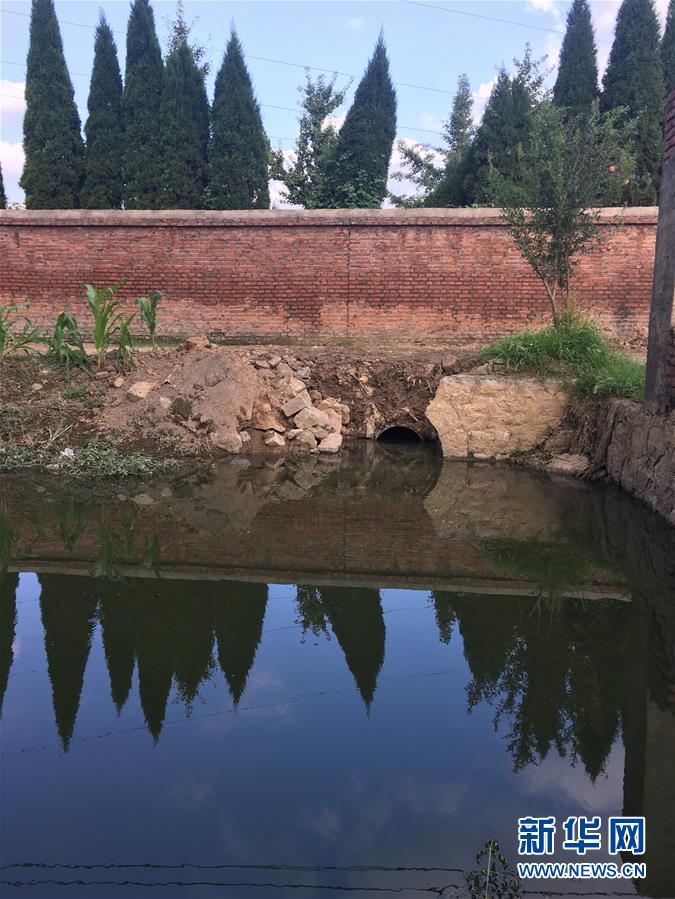 （新華視點(diǎn)·圖文互動(dòng)）（3）上游洪水來(lái)襲下游魚蟹死亡，泄洪為何變泄污？