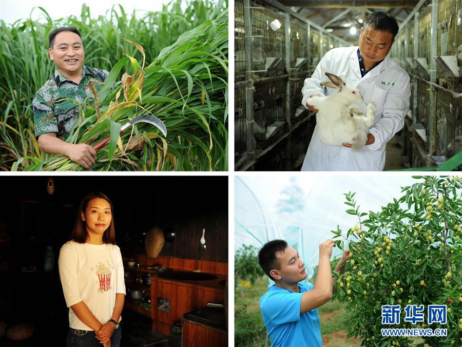 （在習(xí)近平新時(shí)代中國特色社會主義思想指引下——新時(shí)代新作為新篇章·圖文互動）（7）三年村干部 一世農(nóng)村情——記貴州石阡農(nóng)村扶貧干部