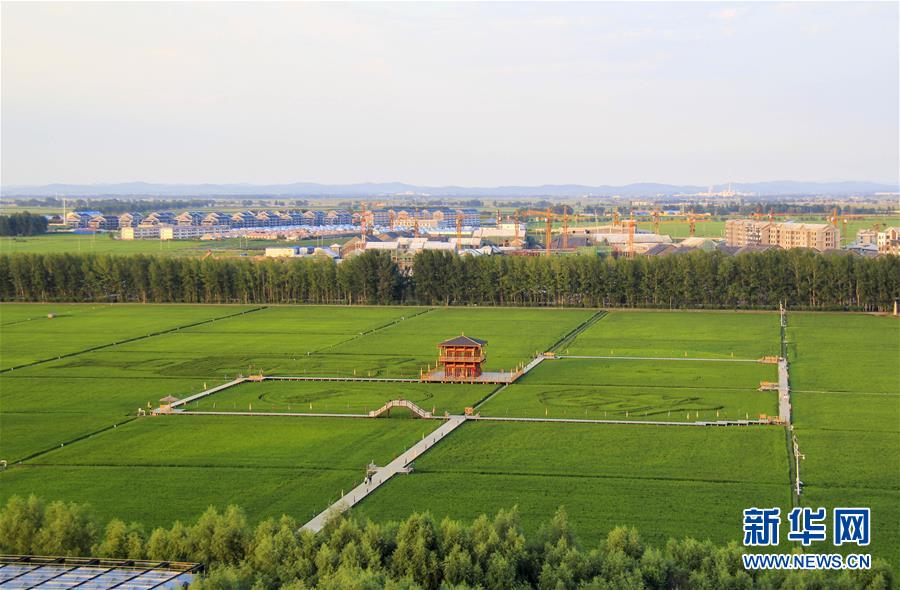 （慶祝改革開(kāi)放40周年基層行·鄉(xiāng)鎮(zhèn)篇·圖文互動(dòng)）（3）三產(chǎn)融合培育鄉(xiāng)村振興熱土——吉林孤店子鎮(zhèn)“村變城”背后的故事