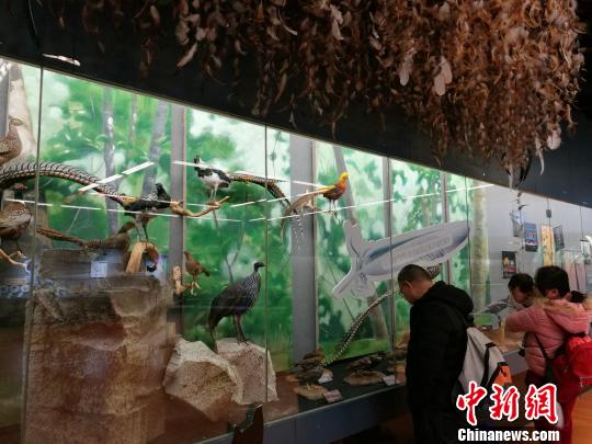 圖為展覽現(xiàn)場。　胡遠航 攝