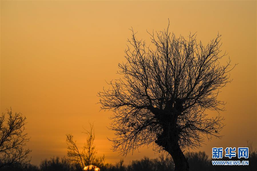 （新華全媒頭條&middot;圖文互動(dòng)）（2）一步千年，&ldquo;最后的沙漠部落&rdquo;遷入新家園