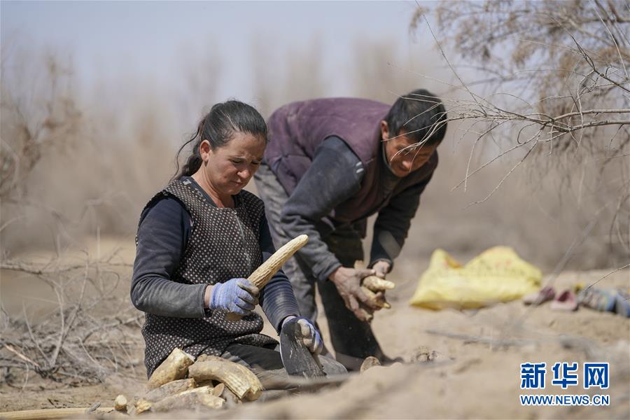 （新華全媒頭條&middot;圖文互動(dòng)）（6）一步千年，&ldquo;最后的沙漠部落&rdquo;遷入新家園