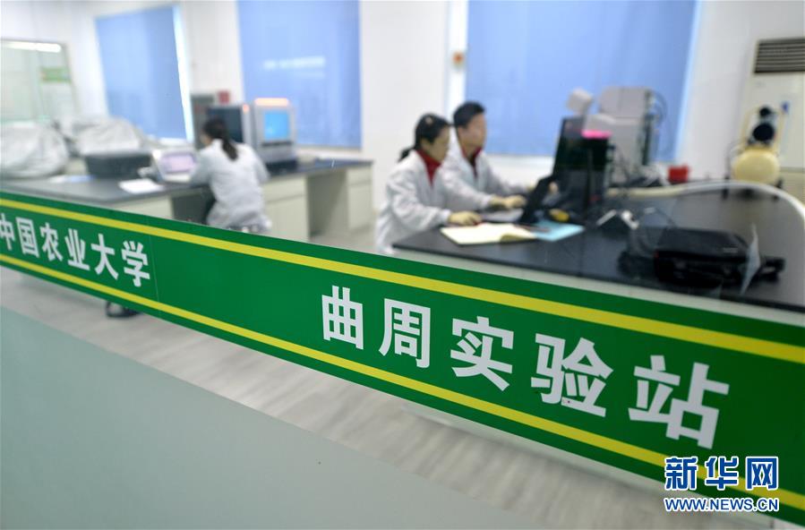 （愛國情 奮斗者·圖文互動）（3） “解民生之多艱，育天下之英才”——中國農(nóng)大師生扎根田野書寫奉獻之歌