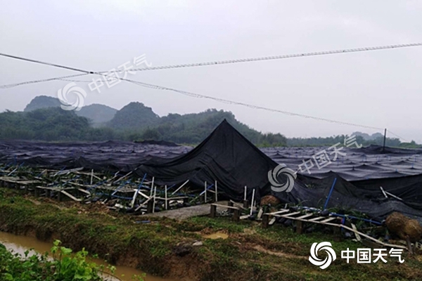 周末雨不休！南北方同迎大范圍降水