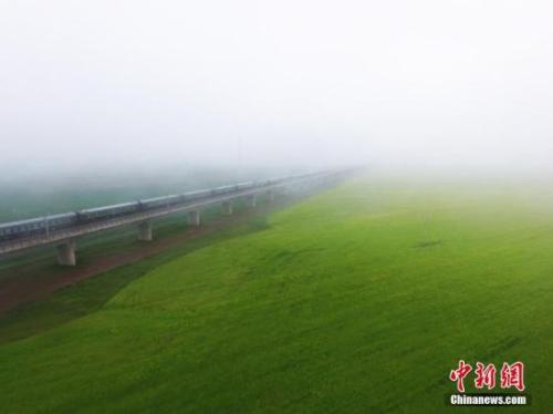 資料圖：動車組穿越雨霧中的油菜花海宛若穿越時空。 楊艷敏 攝