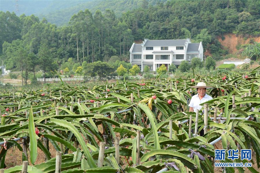 （在習(xí)近平新時代中國特色社會主義思想指引下——新時代新作為新篇章·總書記關(guān)心的百姓身邊事·圖文互動）（6）大污染變身“大寶藏”：治理畜禽糞污，他們這樣干！