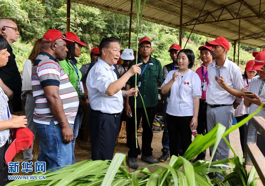 （不忘初心、牢記使命·圖文互動(dòng)）（5）拳拳寸草心 濃濃報(bào)國(guó)情——記“菌草之父”林占熺