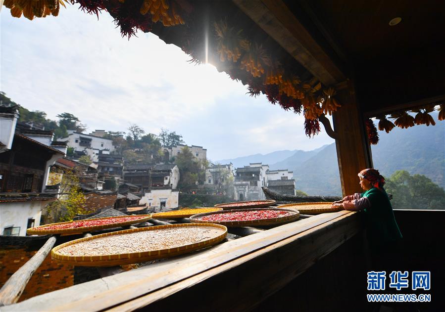 （圖文互動(dòng)）（5）鄉(xiāng)村攝影師、鄉(xiāng)村“模特”、民宿店主——鄉(xiāng)村旅游推動(dòng)婺源農(nóng)民生活方式發(fā)生新變化