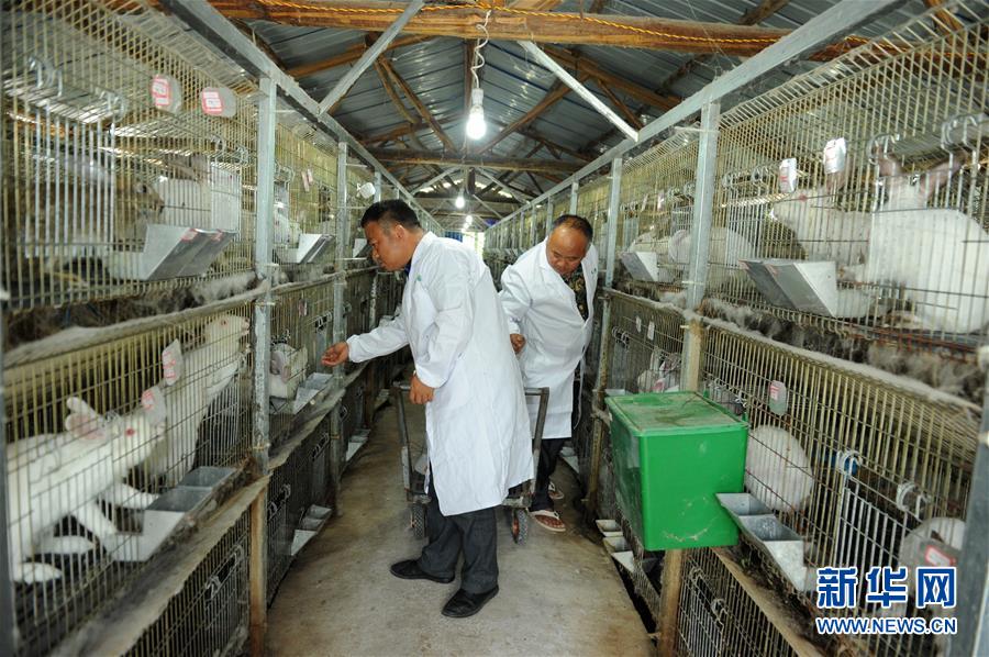 （新華全媒頭條·圖文互動）（4）干部去哪兒了？——貴州干部大規(guī)模下沉脫貧攻堅一線紀實