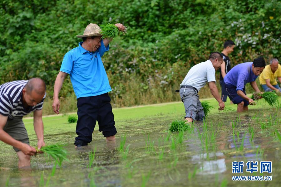 （新華全媒頭條·圖文互動）（8）干部去哪兒了？——貴州干部大規(guī)模下沉脫貧攻堅一線紀實