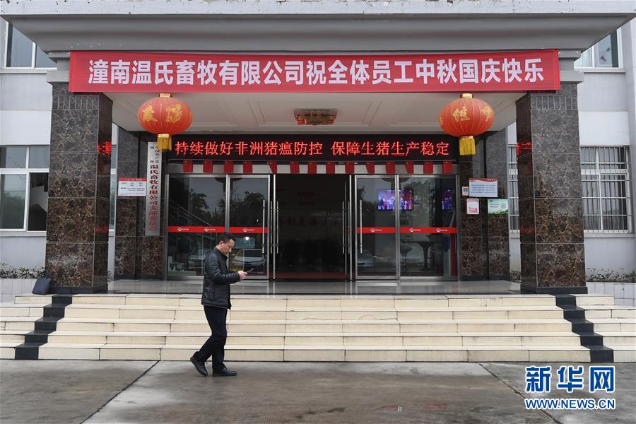 （在習(xí)近平新時(shí)代中國(guó)特色社會(huì)主義思想指引下——新時(shí)代新作為新篇章·總書(shū)記關(guān)切高質(zhì)量發(fā)展·圖文互動(dòng)）（1）穩(wěn)住“一頭豬”、供好“一袋米”、配好“一籃菜
