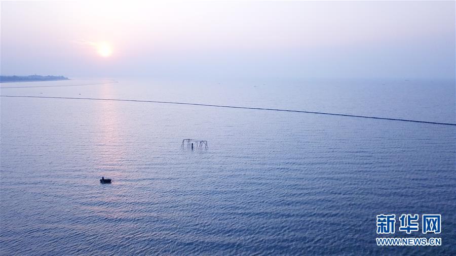 （新華全媒頭條·圖文互動(dòng)）（2）大湖見證——長三角三大淡水湖綠色發(fā)展之路