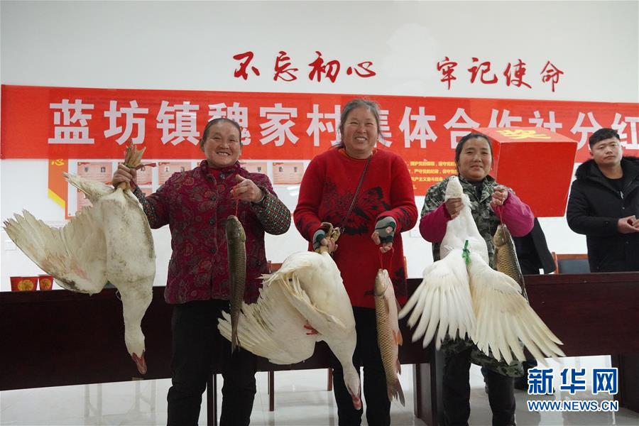 （新春走基層·圖文互動）（4）“空殼村”分紅啦！