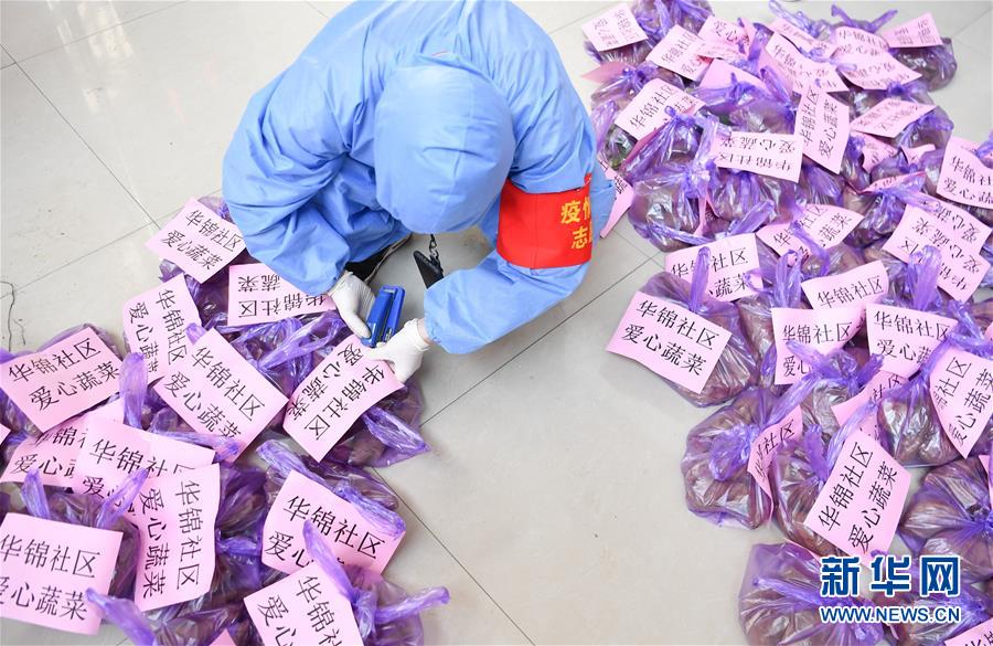 （習(xí)近平致敬的戰(zhàn)“疫”英雄·志愿者篇·圖文互動）（11）他們，微光成炬照征程