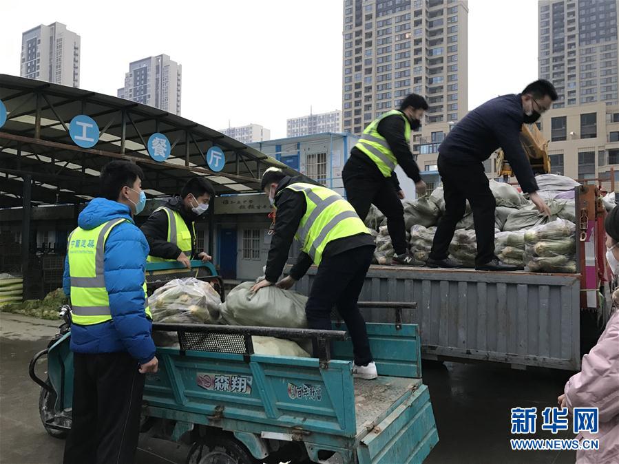 （一線抗疫群英譜·圖文互動）（2）“面對疫情，我們能做點啥？”——“蘿卜哥”朱海洋的擔當