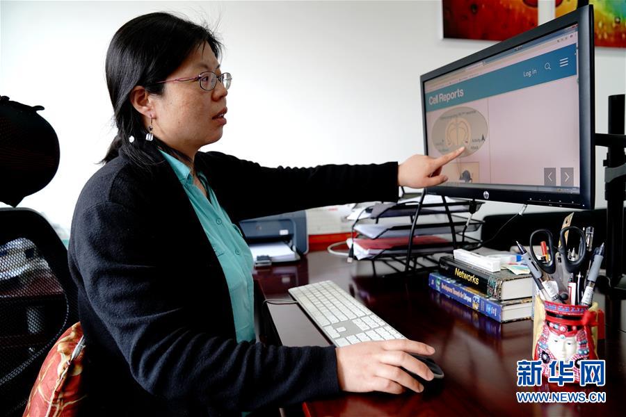（圖文互動）（1）攻擊行為如何被大腦控制？科學(xué)家在小鼠大腦中發(fā)現(xiàn)“調(diào)節(jié)開關(guān)”