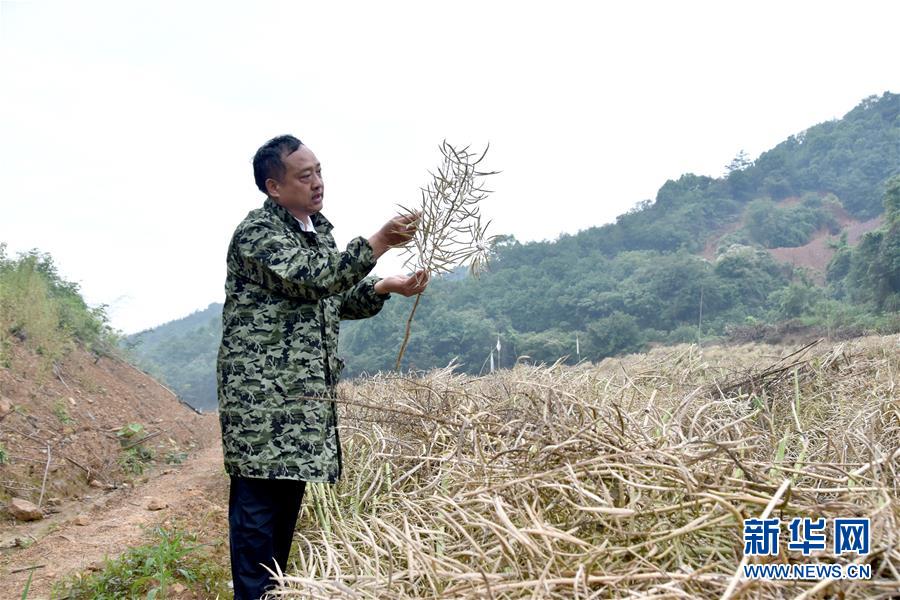 （代表委員履職·圖文互動）（1）“我是農(nóng)民代表，始終關(guān)注農(nóng)村”——全國人大代表沈昌健的履職故事