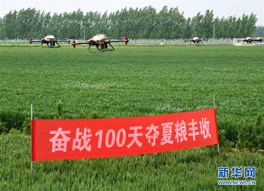 （在習(xí)近平新時代中國特色社會主義思想指引下——新時代新作為新篇章·習(xí)近平總書記關(guān)切事·圖文互動）（9）新農(nóng)事、新希望——夏收前田間新動態(tài)掃描
