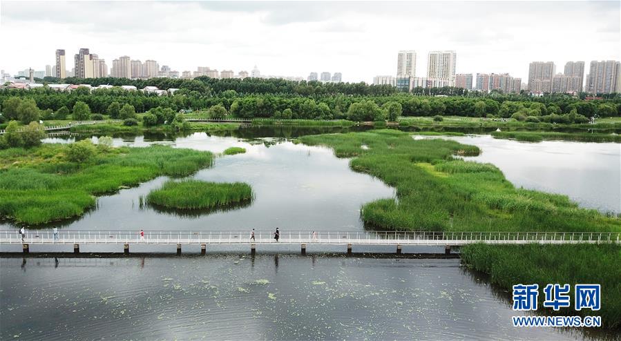 （走向我們的小康生活·圖文互動(dòng)）（1）水清、地綠、空氣新——最北省份黑龍江繪就生態(tài)治理新畫卷
