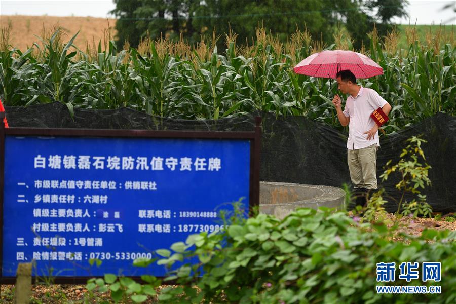 （防汛抗洪·圖文互動(dòng)）（1）“險(xiǎn)情不可怕，可怕的是不能及時(shí)發(fā)現(xiàn)險(xiǎn)情”——洞庭湖巡堤查險(xiǎn)現(xiàn)場(chǎng)直擊