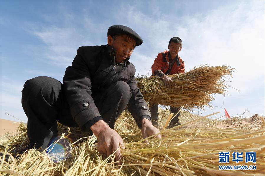 （在習(xí)近平新時(shí)代中國(guó)特色社會(huì)主義思想指引下——新時(shí)代新作為新篇章·習(xí)近平總書(shū)記關(guān)切事·圖文互動(dòng)）（5）綠色映底蘊(yùn)，山水見(jiàn)初心——生態(tài)優(yōu)先、綠色發(fā)展持續(xù)造福群眾美好生活
