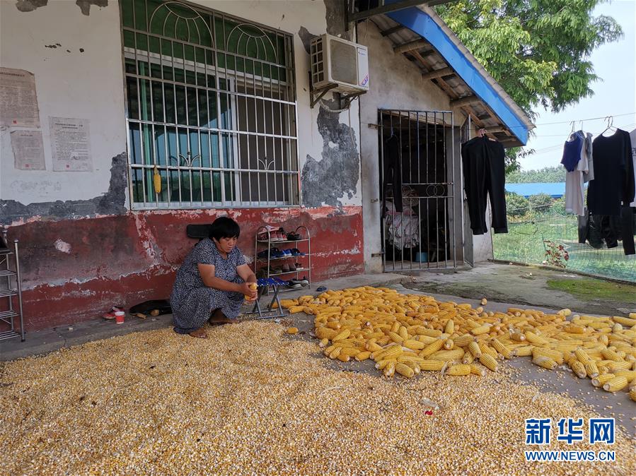 （新華視點(diǎn)·聚焦餐桌外的浪費(fèi)·圖文互動(dòng)）（3）農(nóng)戶儲(chǔ)糧損失達(dá)8%！設(shè)施普遍簡陋，蟲害霉變堪憂