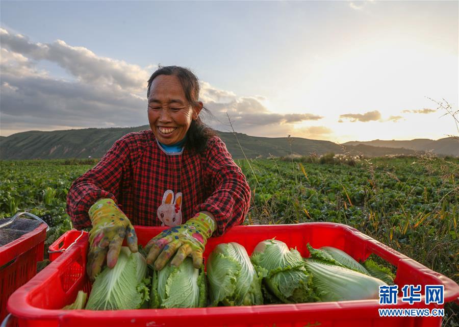 （新華全媒頭條·決戰(zhàn)決勝脫貧攻堅·督戰(zhàn)未摘帽貧困縣·圖文互動）（1）不獲全勝，決不收兵——全國52個掛牌督戰(zhàn)貧困縣脫貧攻堅紀實
