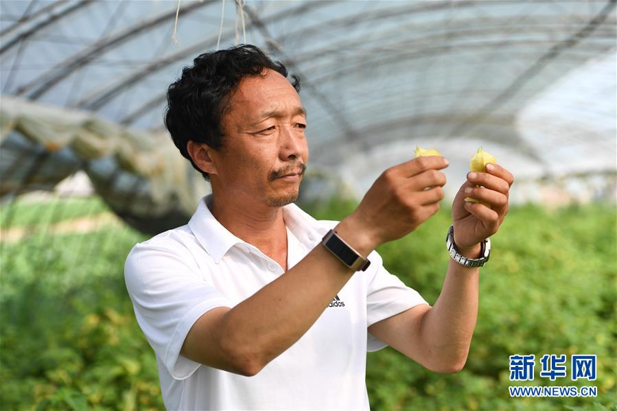 （新華全媒頭條·走向我們的小康生活·圖文互動）（7）黑土地上是我家——在吉林，一瞥中國東北鄉(xiāng)村美麗未來